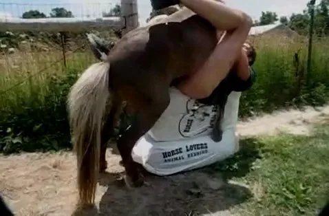 หนุ่มฝรั่งเกย์คัดตูด อยากโดนของใหญ่ให้ม้าคู่ใจเย็ดกระเด้าเต็มแรงตูดบานแน่มึง